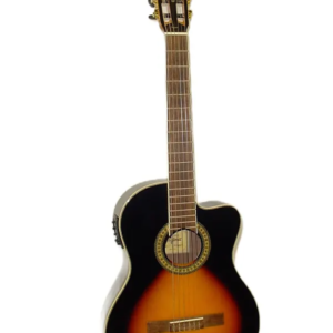 <span></span>GUITARRA ELECTROACUSTICA TAGIMA WS-10 EQ DSBS