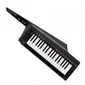 <span></span>SINTETIZADOR KORG RK-100S 2BK